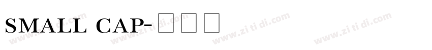 small cap字体转换